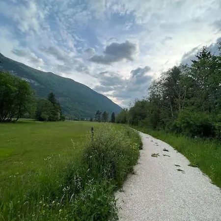 Apartma Jasna Apartamento *